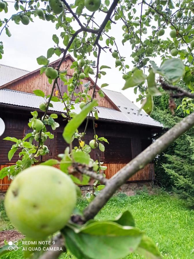 Gospodarstwo Agroturystyczne U Stasików Spytkowice  Exterior foto